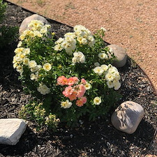 mainGallery-Landscaping 2